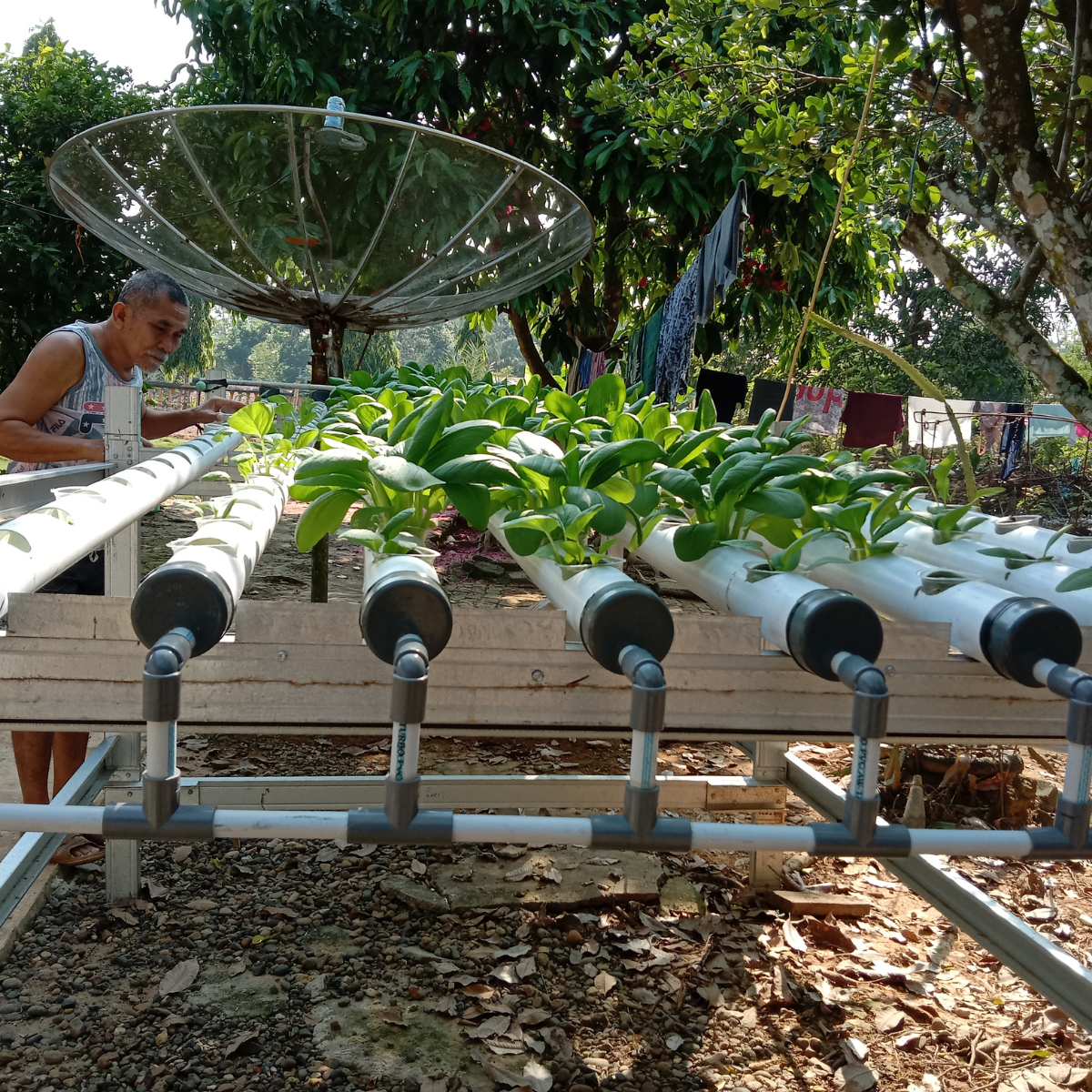 Système hydroponique